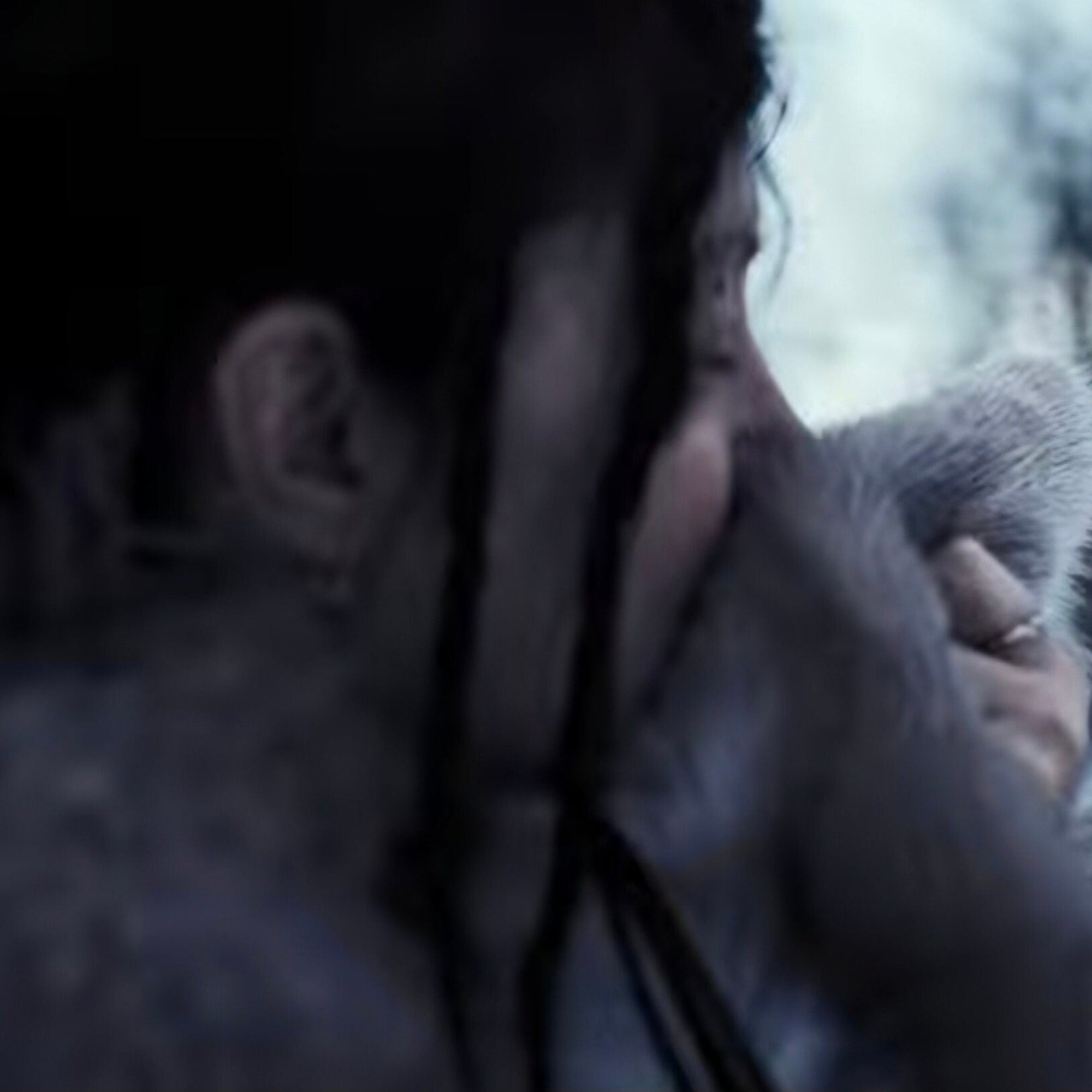 Full-Sized Reindeer Hide from Arctic Norway