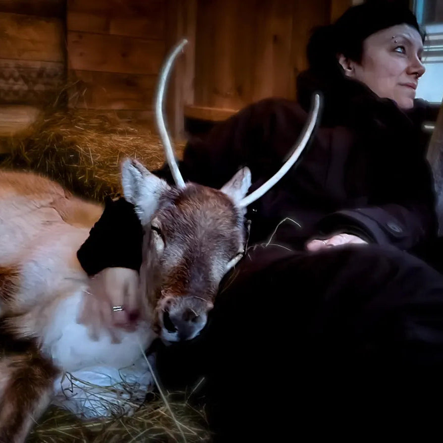 Runebomme Sami Shaman Drum Reading with YouTuber Freyia Norlin, Gydja living in Sàpmi