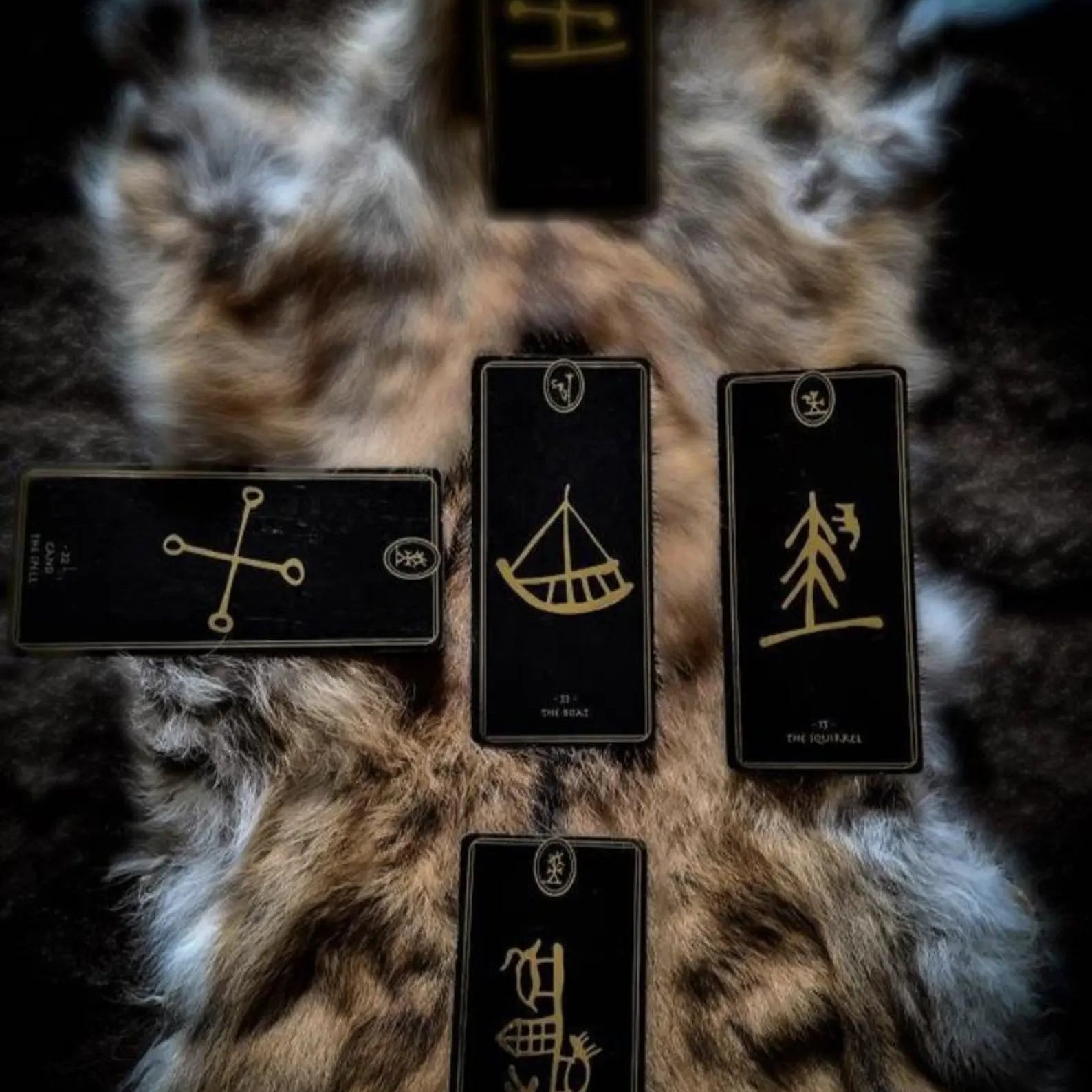 Runebomme Sami Shaman Drum Reading with YouTuber Freyia Norlin, Gydja living in Sàpmi