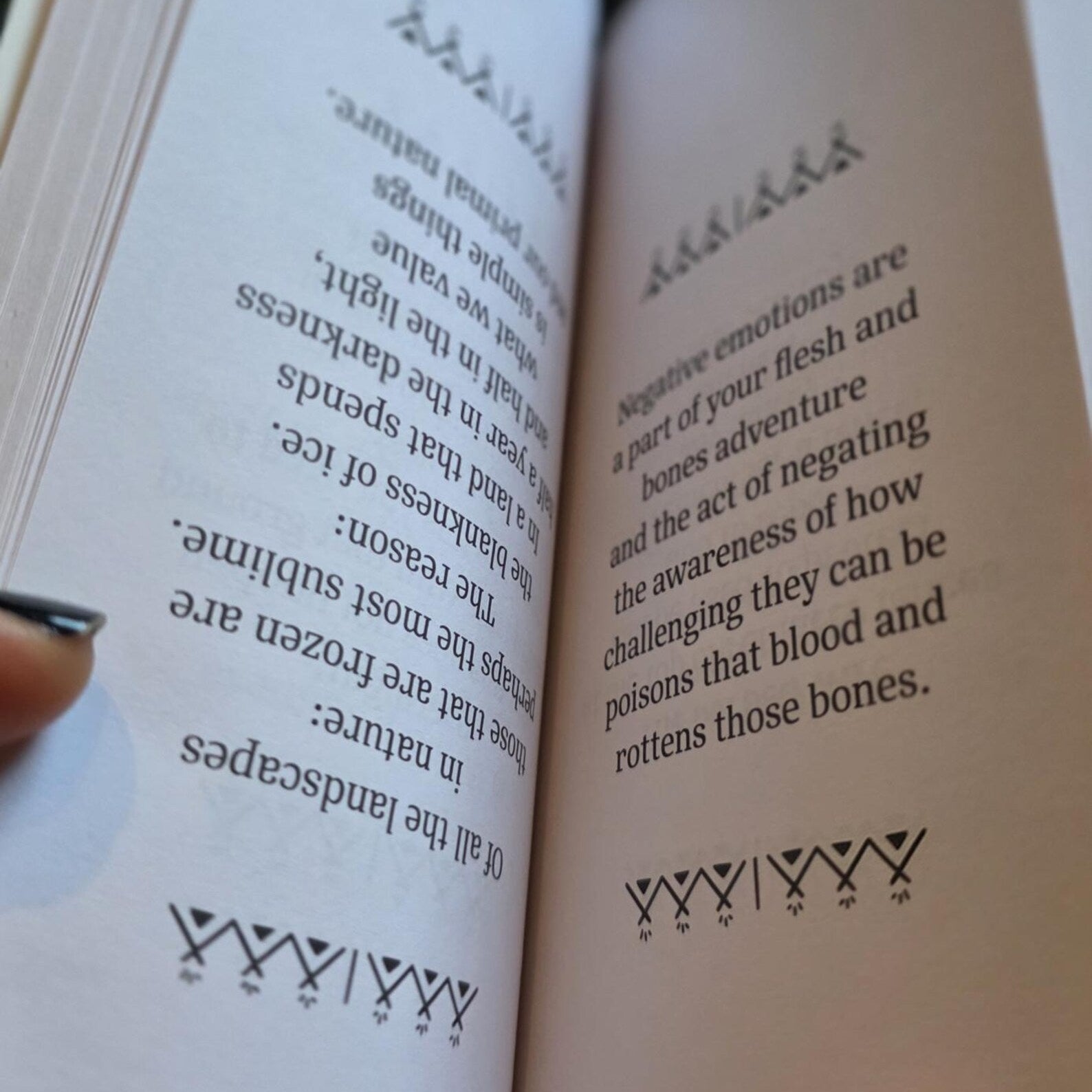 Freyias Little Book of Reindeer Wisdom Oracular Book