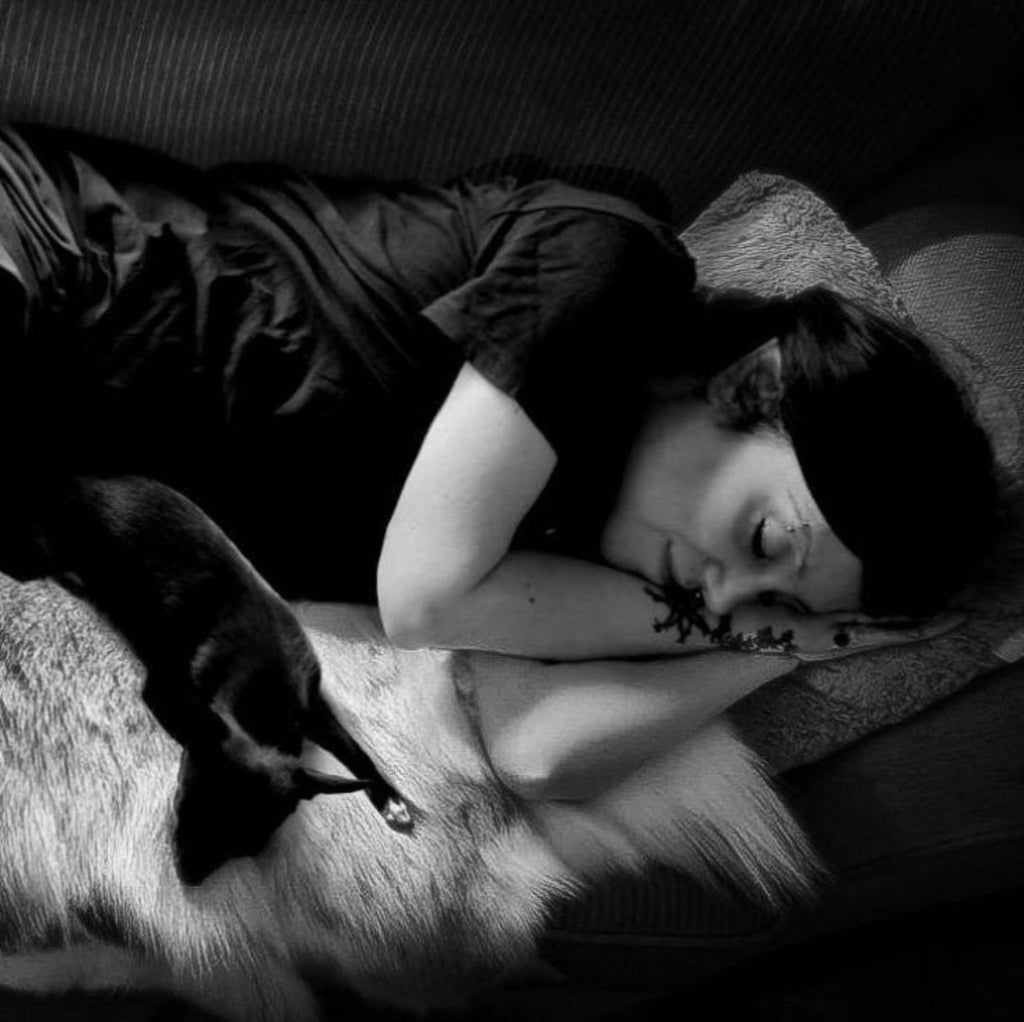 Full-Sized Reindeer Hide from Arctic Norway