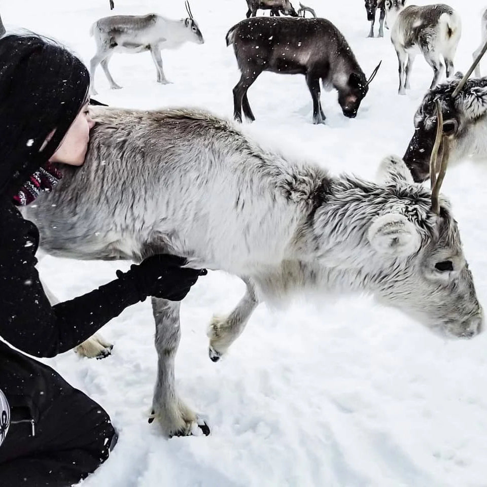 Reindeer Antler Tip Necklace